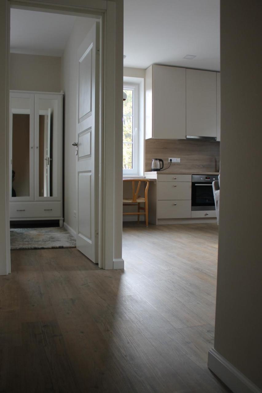 Smartflat & New Apartment City Center Kaunas Kültér fotó