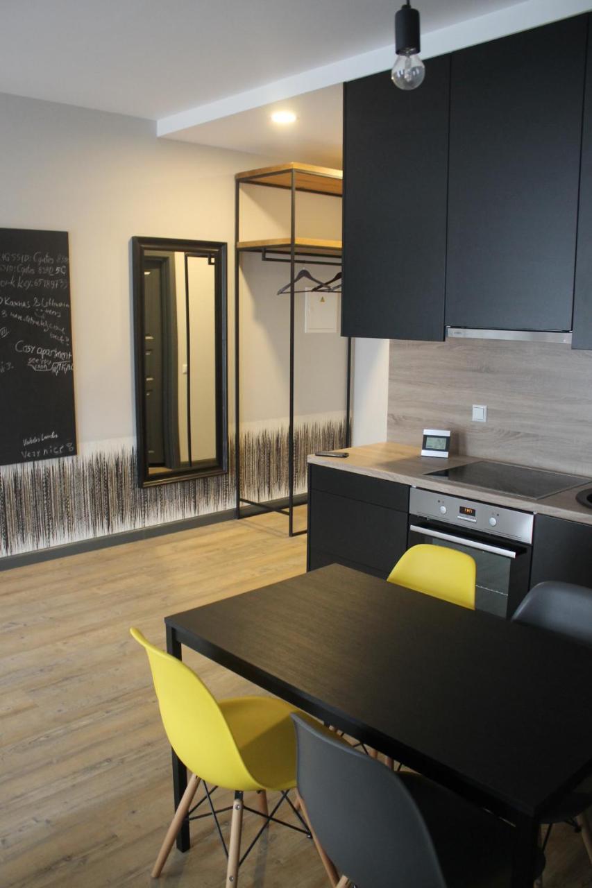 Smartflat & New Apartment City Center Kaunas Kültér fotó